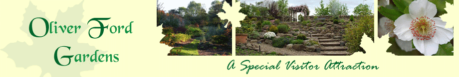 Garden Sanctuaries, County Durham, North East England