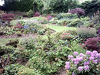 The Acer Garden at Oliver Ford Gardens, Durham, North East England